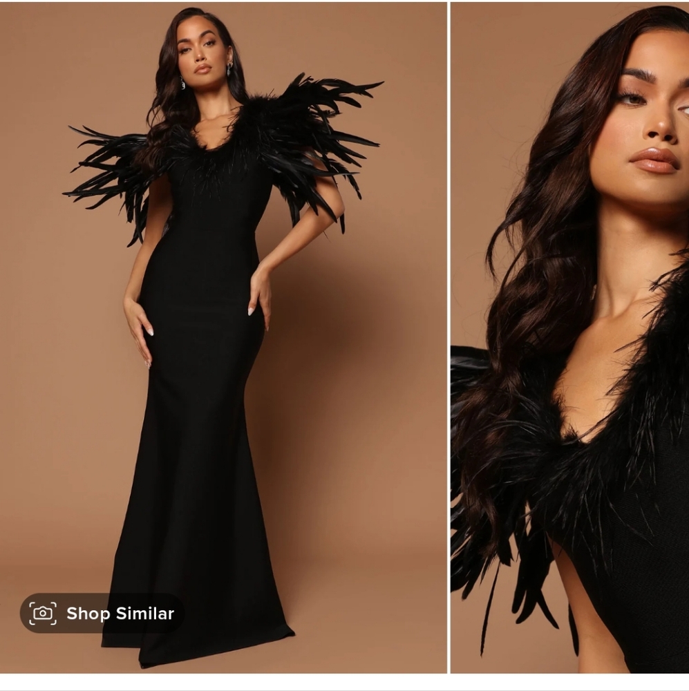 Fashion nova maxi dress with feathers